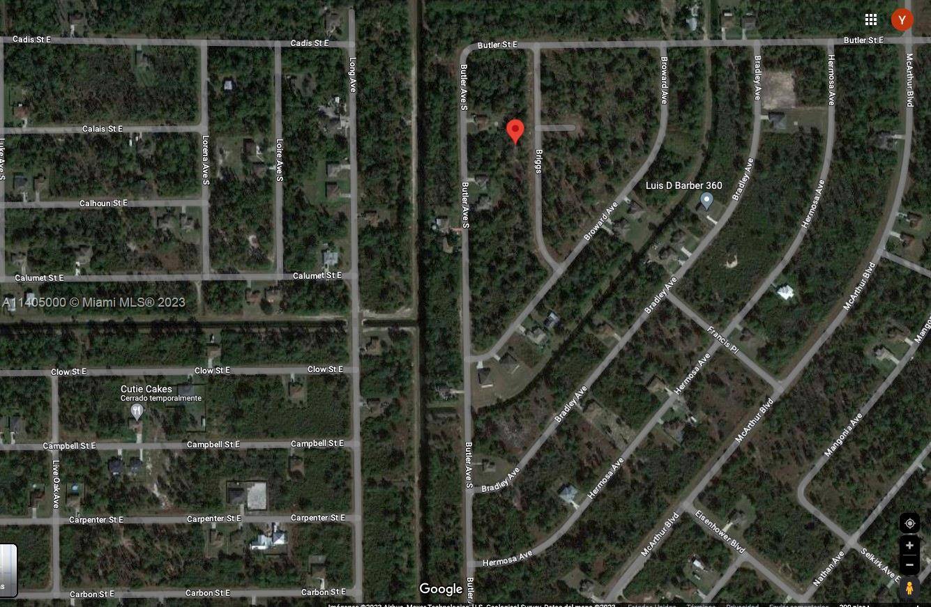 Lehigh Acres, FL 33974,310 BRIGGS AVE S