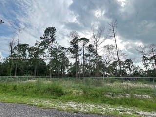 Clewiston, FL 33440,760 S JINETE ST