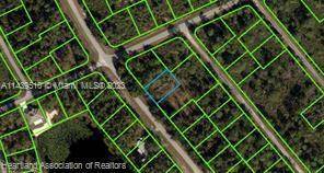 Lake Placid, FL 33852,615 Wildflower Street