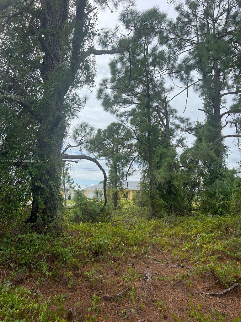 Lehigh Acres, FL 33976,2506 35TH ST SW