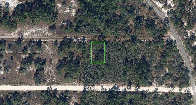 Lake Placid, FL 33852,341 Moon River Ave