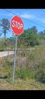 Other, FL 33597,0 Richardson Blvd