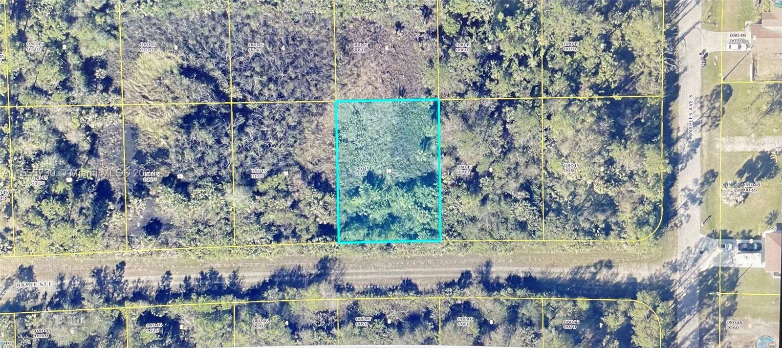 Lehigh Acres, FL 33974,1243 RAMEE ST E