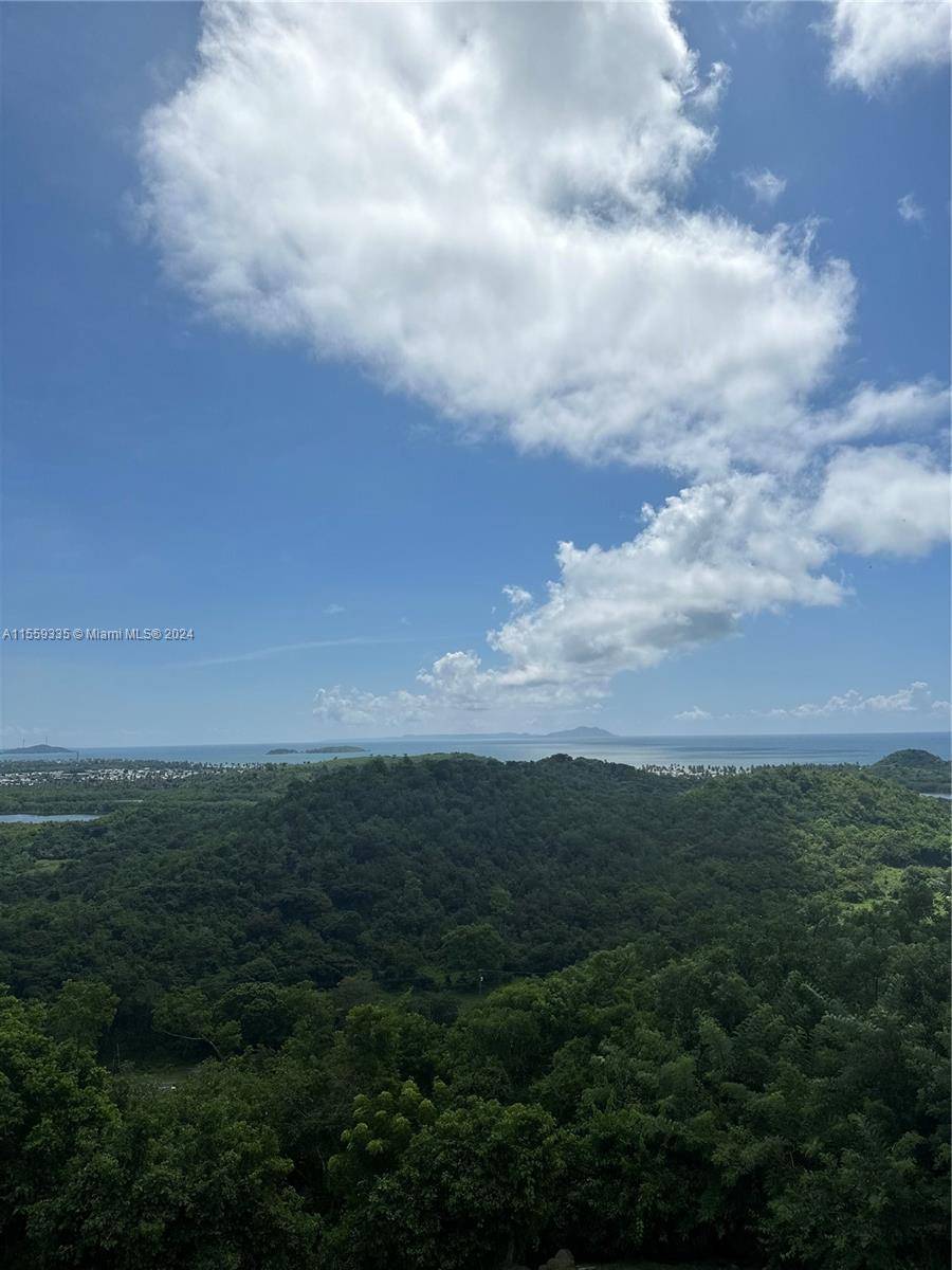 Humacao, PR 00741,Barrio Anton Ruiz y PR - 925,  HUMACAO