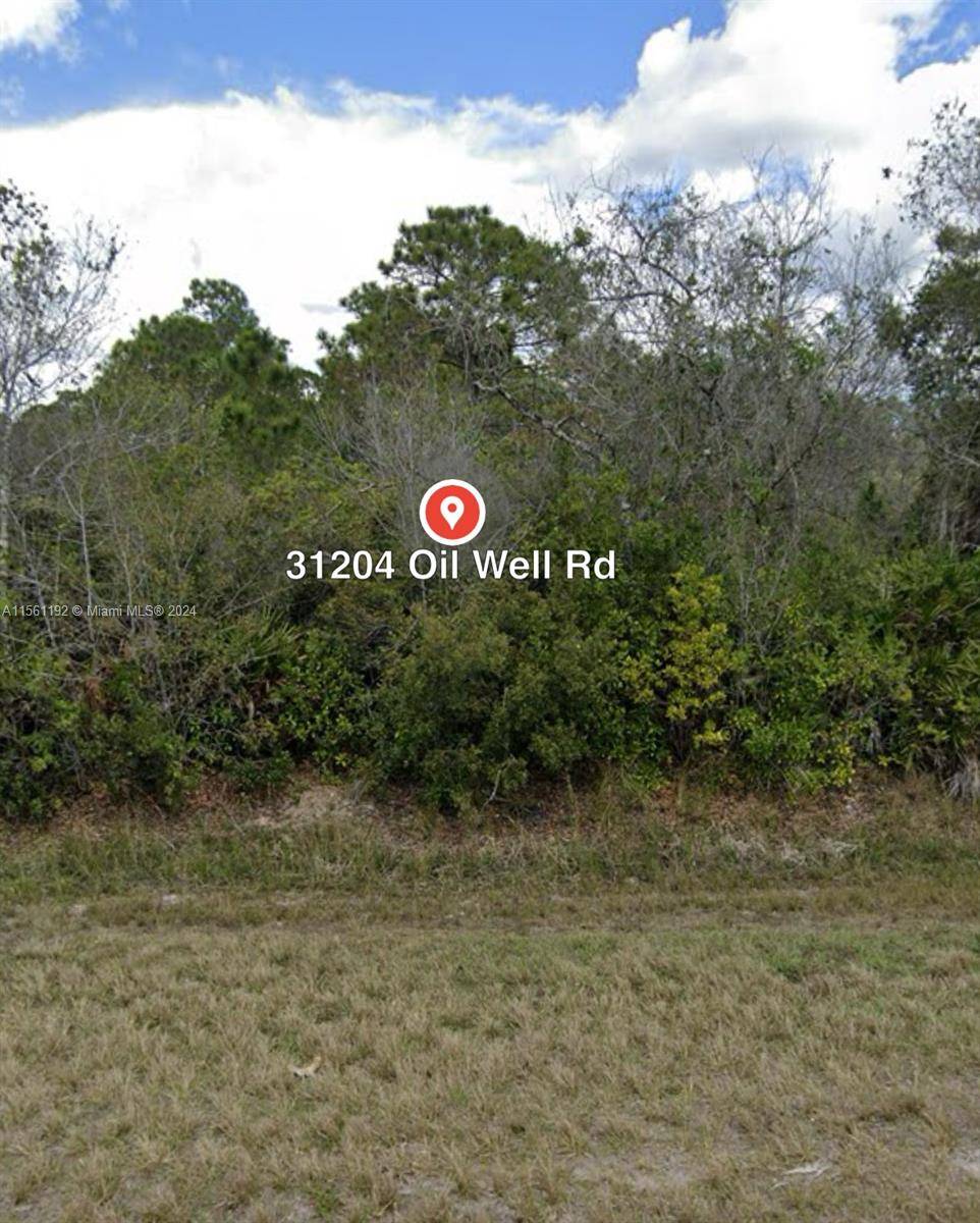 Punta Gorda, FL 33955,31204 Oil Well Rd