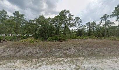 Lehigh Acres, FL 33972,621 Grant Avenue