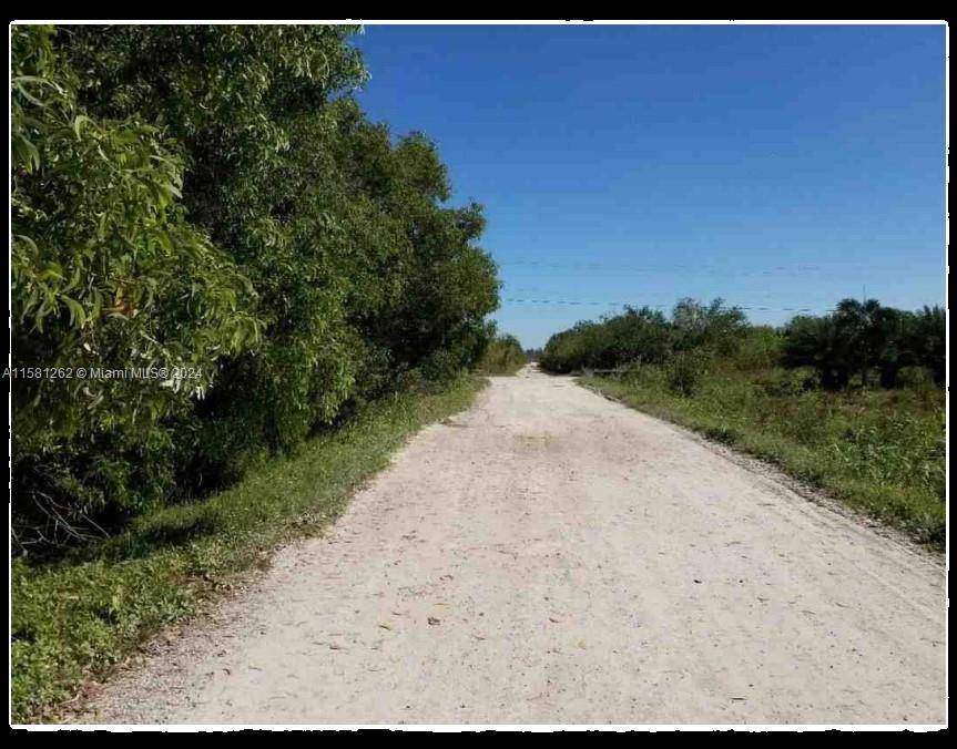 Homestead, FL 33033,312 st