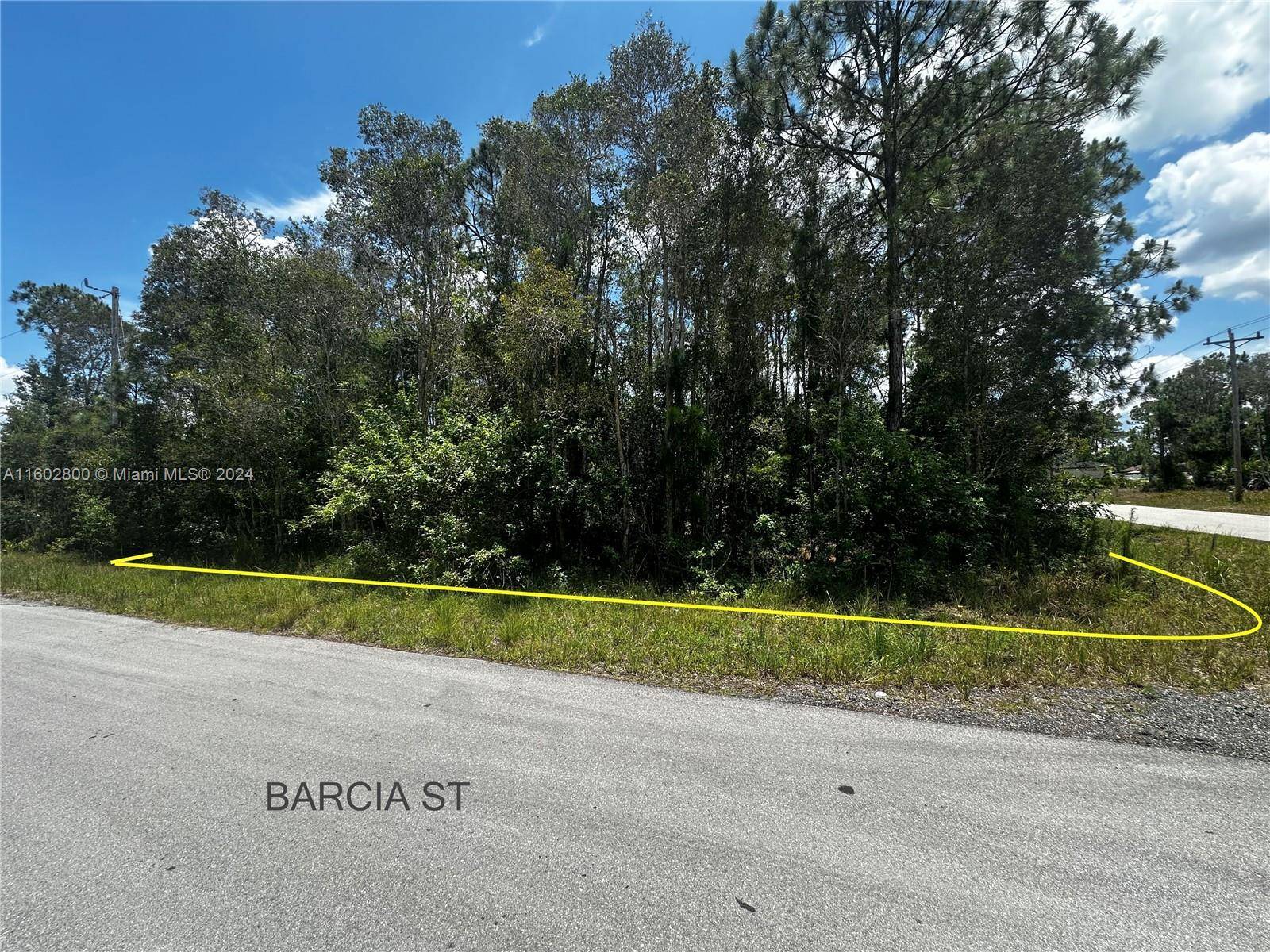 Lehigh Acres, FL 33974,700 Barcia ST E