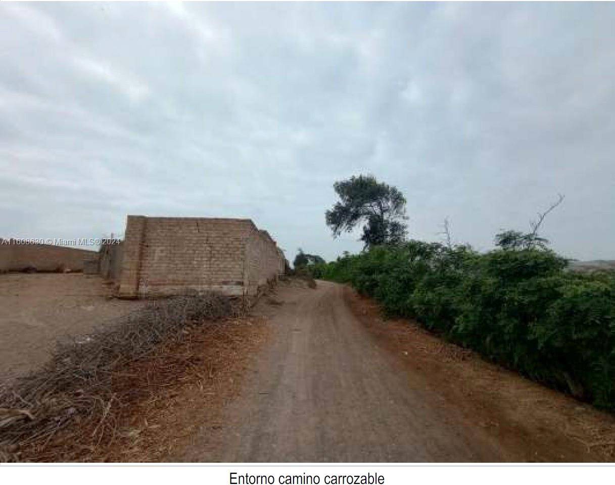 Barranca,,Los Chirimoyos