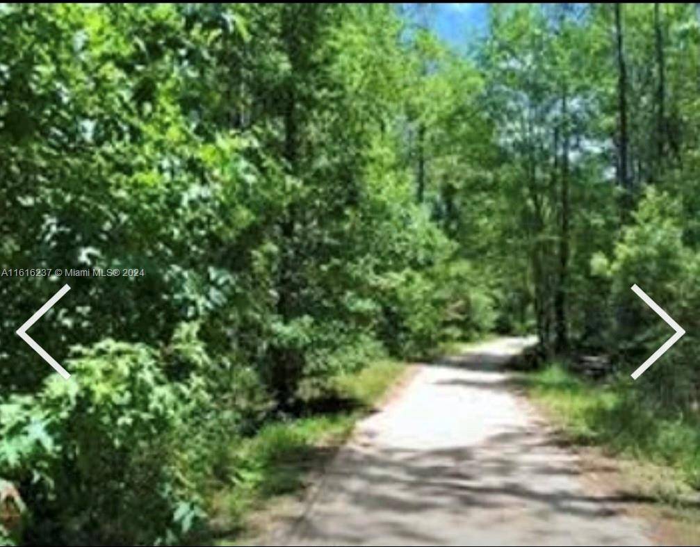 GA 31568,649 Chiimney Rock Rd