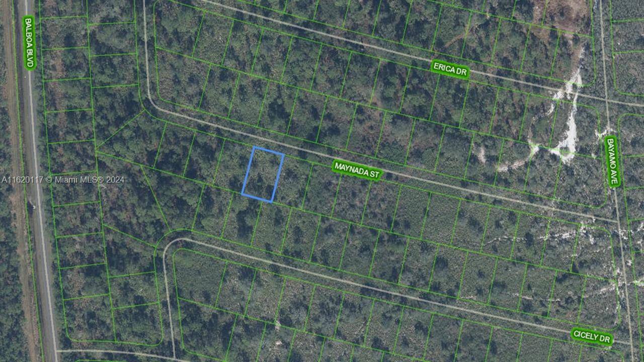 Sebring, FL 33872,8725 MAYNADA ST
