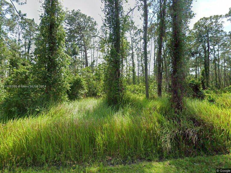 Sebring, FL 33825,8666 San Mateo