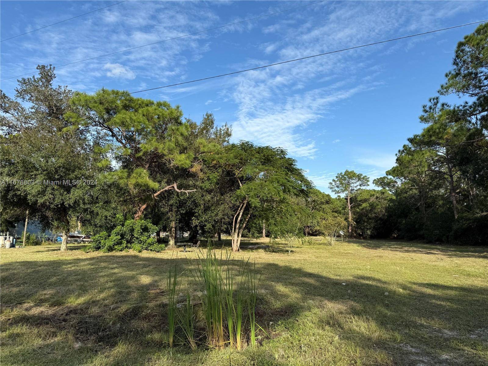 Clewiston, FL 33440,835 N LIVE OAK ST