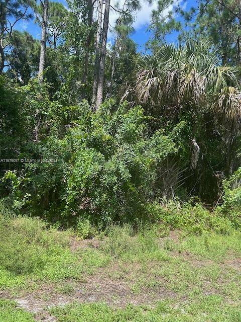 Palm Bay, FL 32907,737 DOVERBROOK DIVE