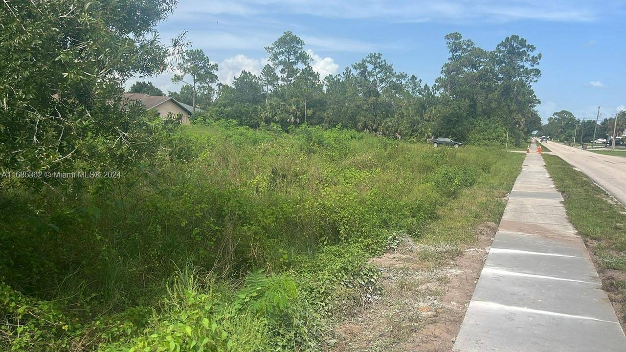 Lehigh Acres, FL 33972,805 E 6 st