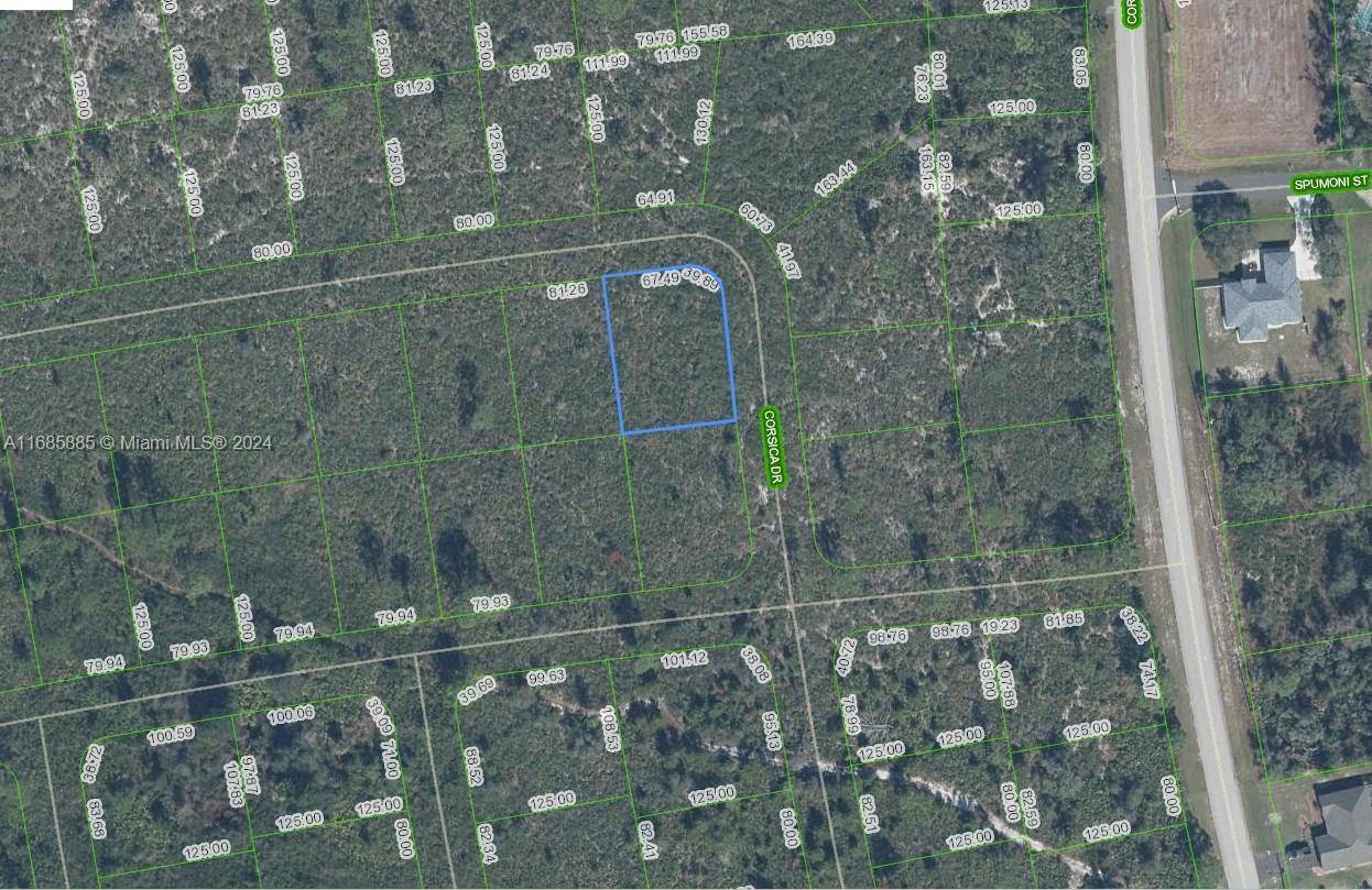 Sebring, FL 33872,5126 Corsica Dr.