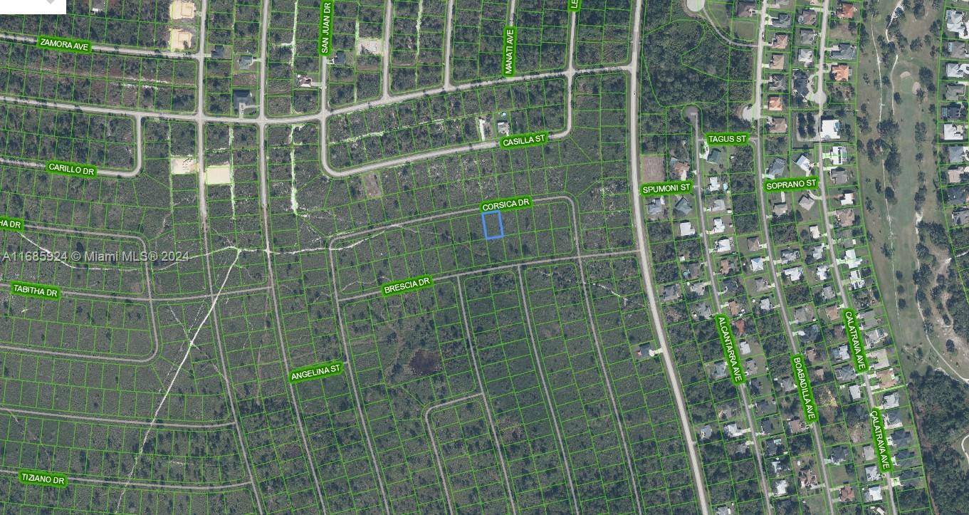 Sebring, FL 33872,5032 Corsica Drive