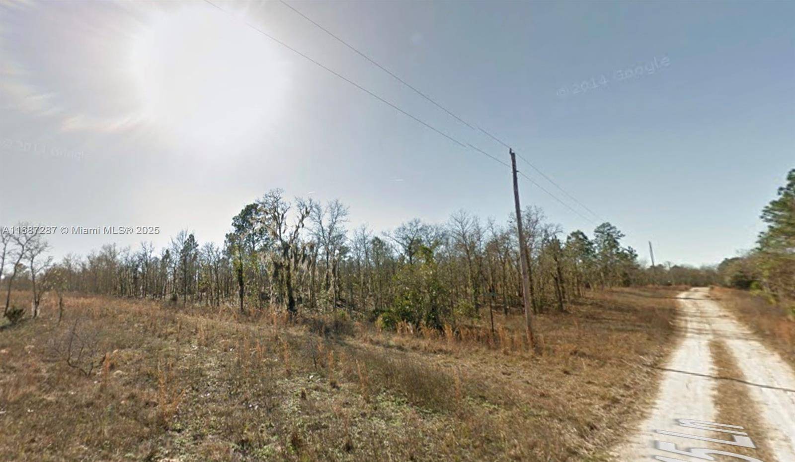 Williston, FL 32696,Lot 22 NE 15th Ln