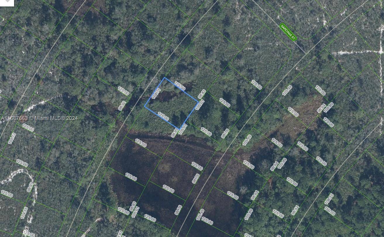 Sebring, FL 33872,6625 San Benito Dr