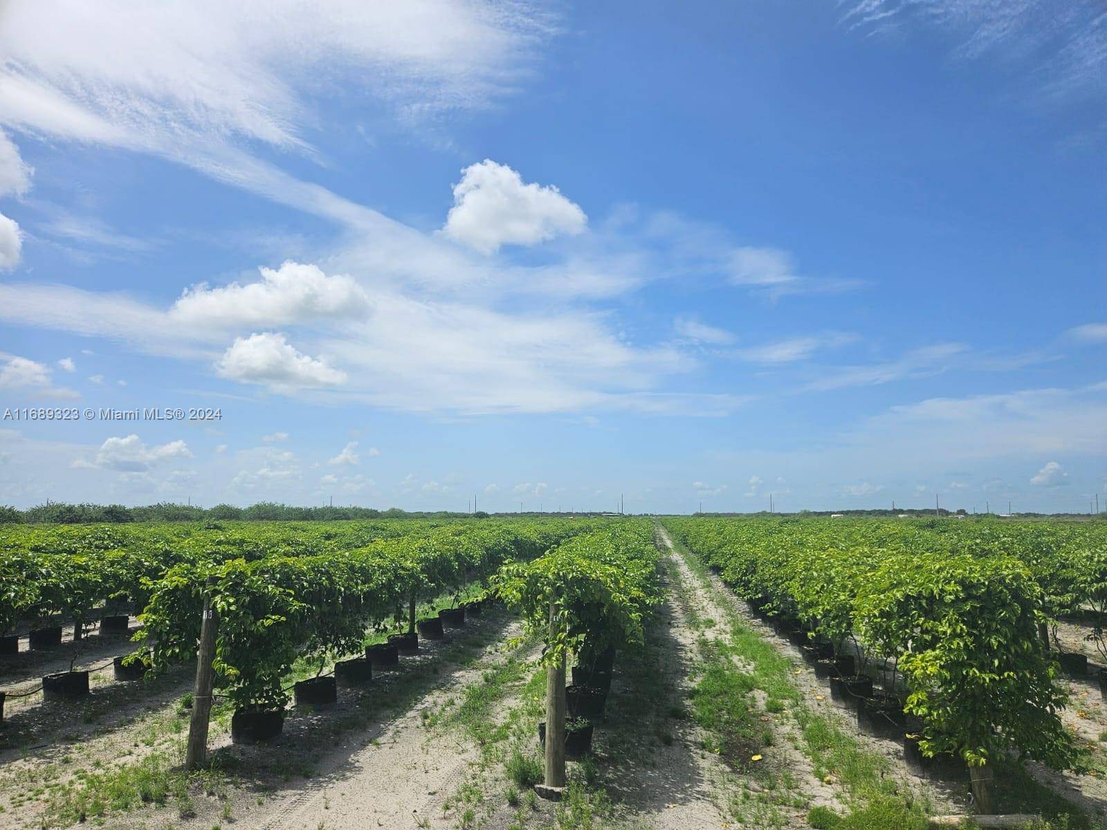 La Belle, FL 33935,Sears Rd 6101 6th