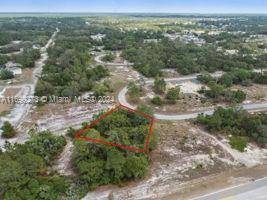 Other City - In The State Of Florida, FL 34759,Address not disclosed