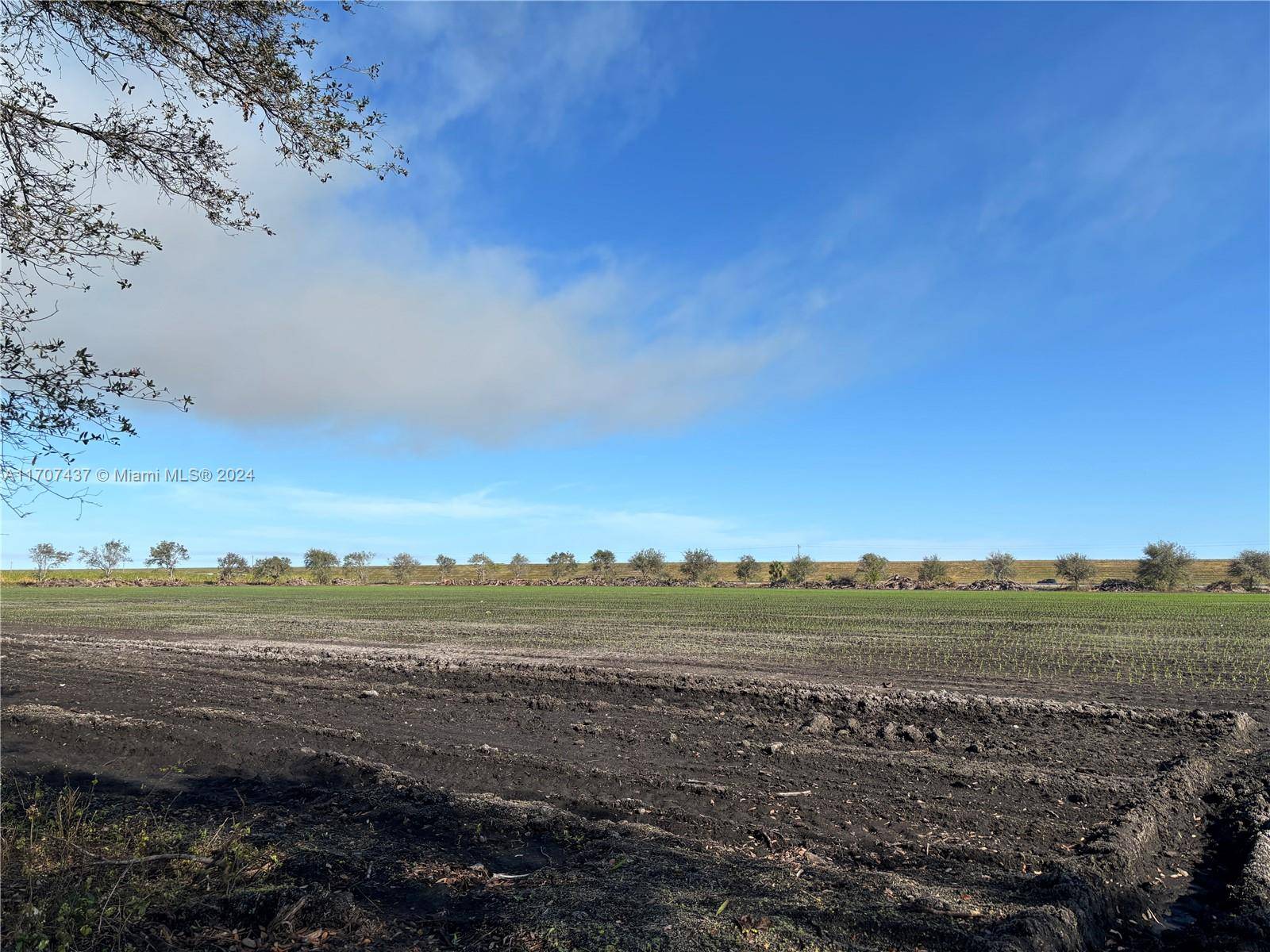 Other, FL 33459,Corkscrew Blvd