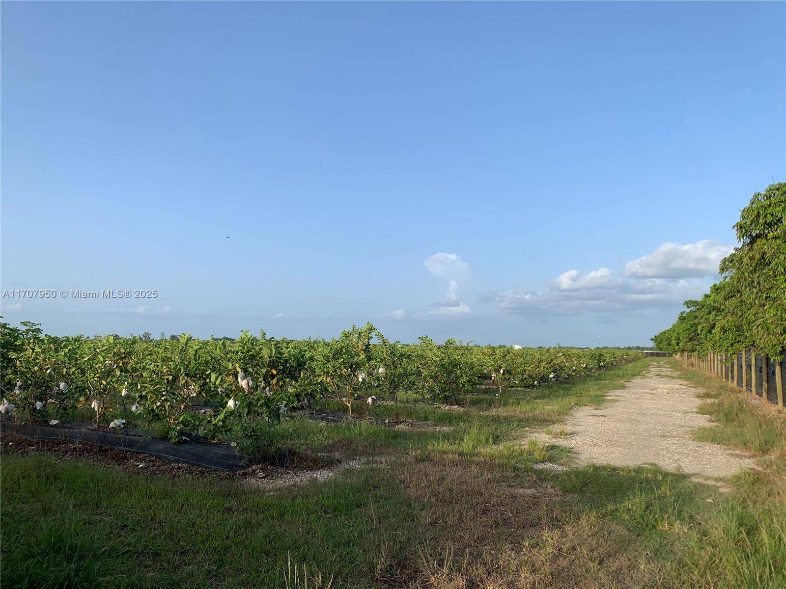 Homestead, FL 33034,34200 SW 221 Ave
