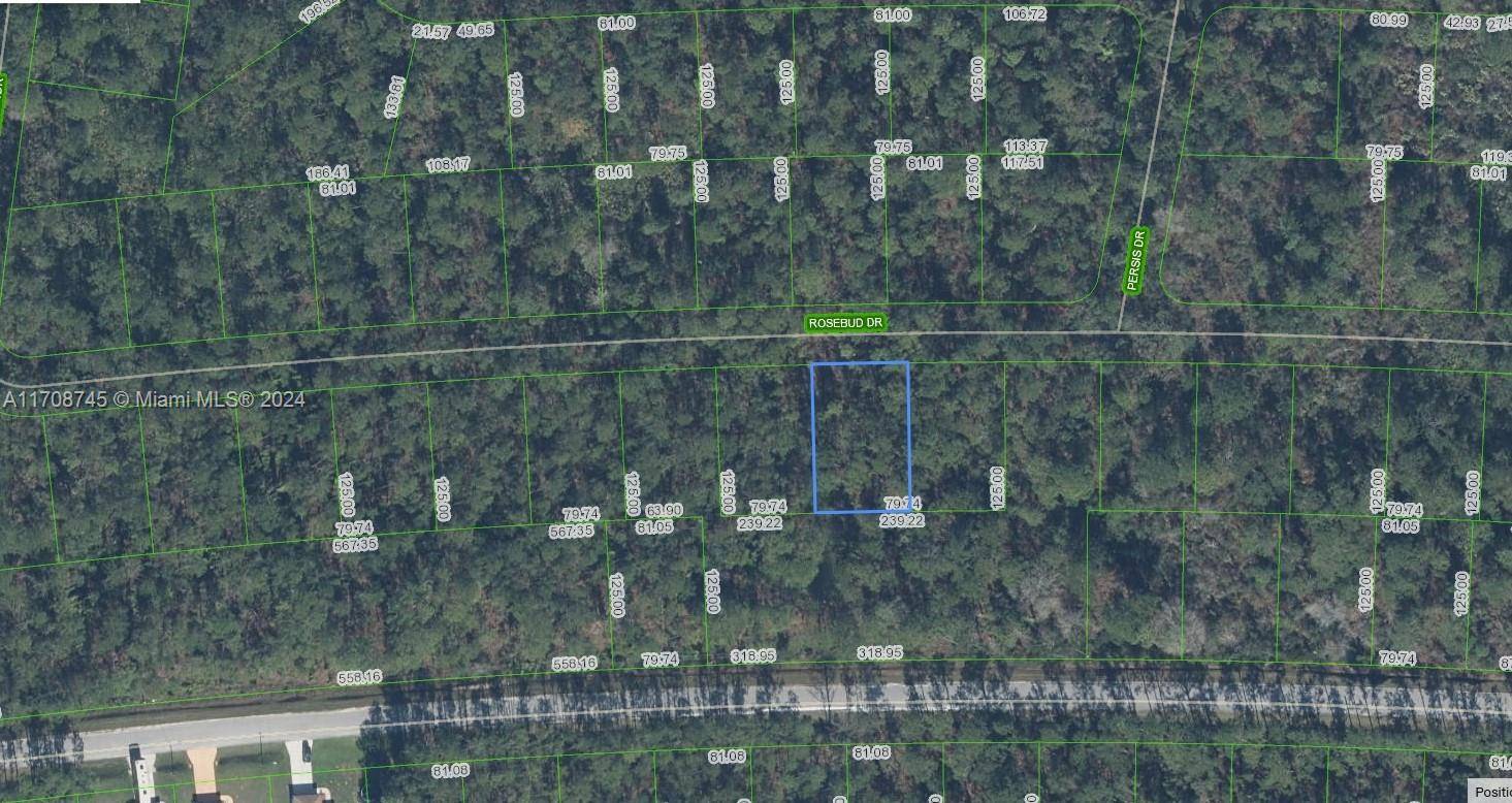 Sebring, FL 38872,8013 Rosebud Drive