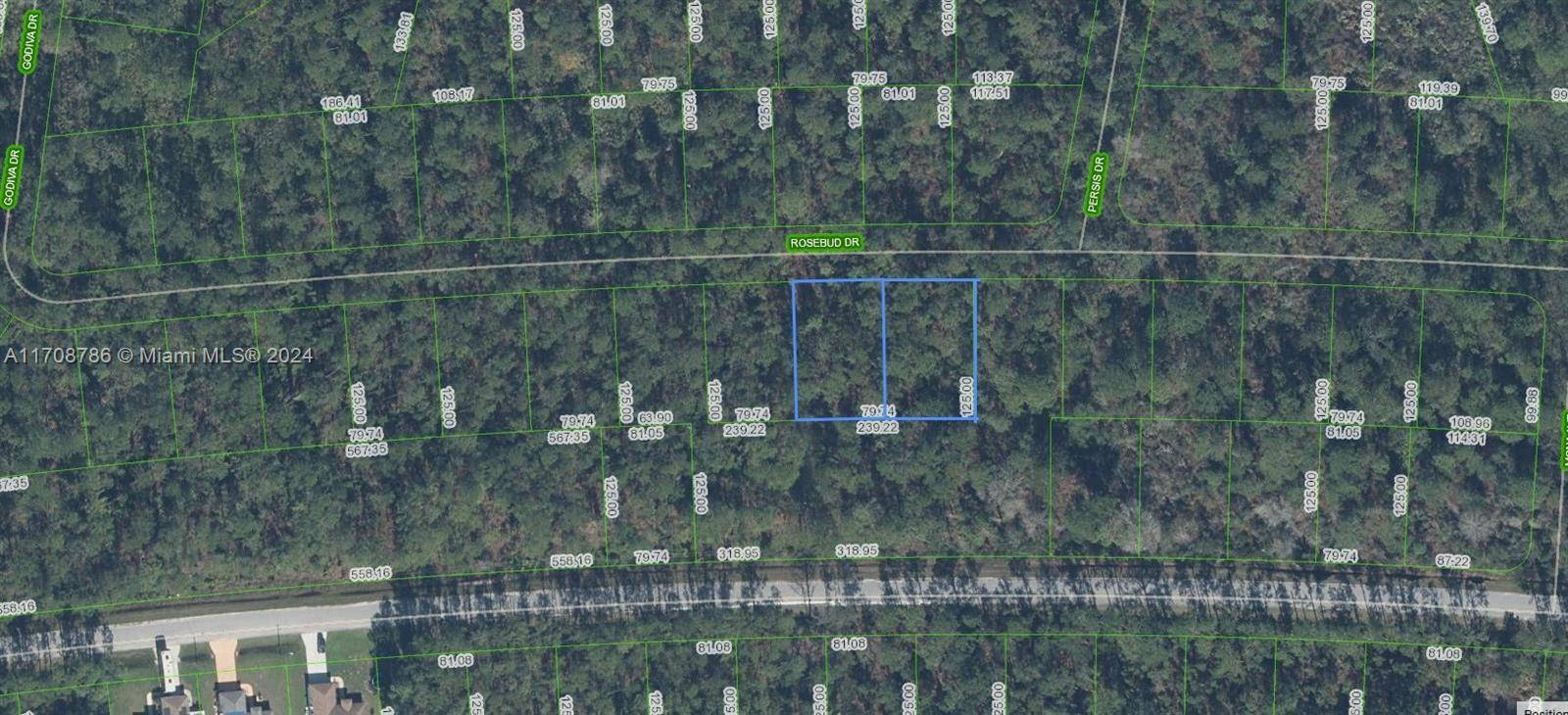 Sebring, FL 33872,8007+8013 Rosebud Drive