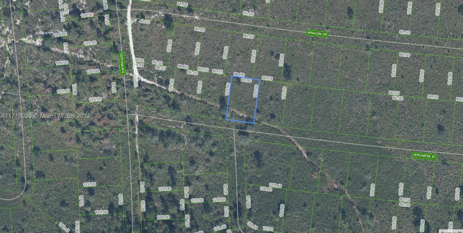 Sebring, FL 33872,8136 Veronese Street