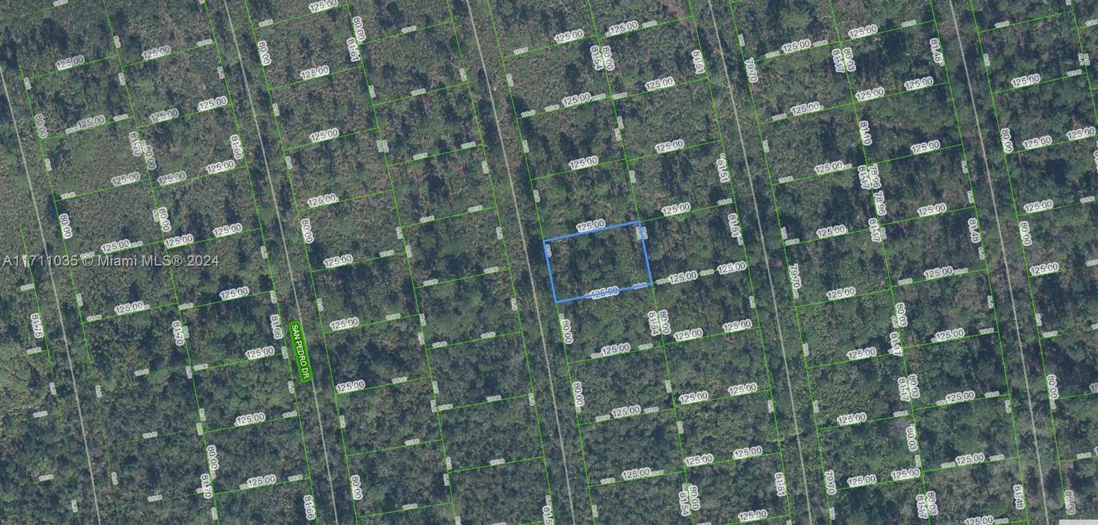 Sebring, FL 33872,4410 Rosaro Ave