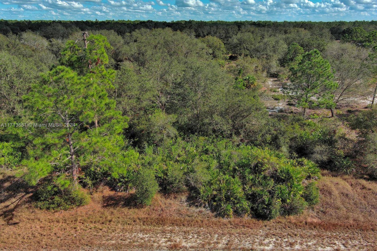 Lehigh Acres, FL 33972,1514 Poinsettia Ave