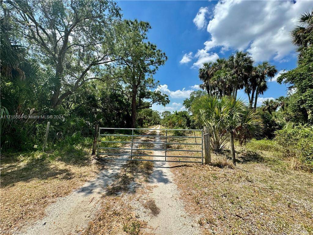 Other, FL 33471,1694 Williams Road