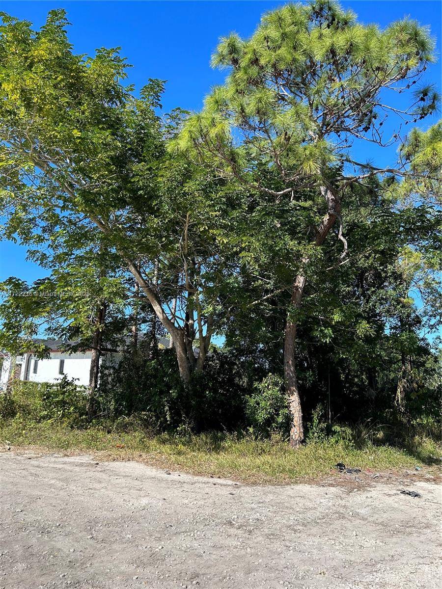 Unincorporated Dade, FL 33170,219 sw
