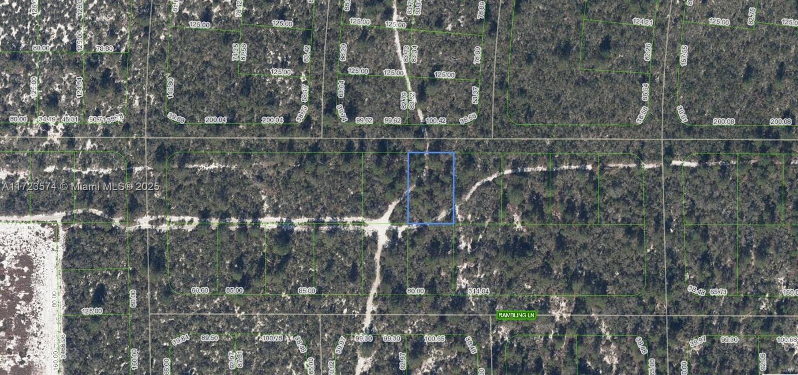 Lake Placid, FL 33852,437 Souvenir Lane