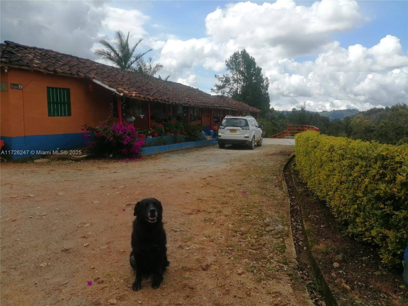 Medellin, FL 2563,MUNICIPIO DE GUARNE
