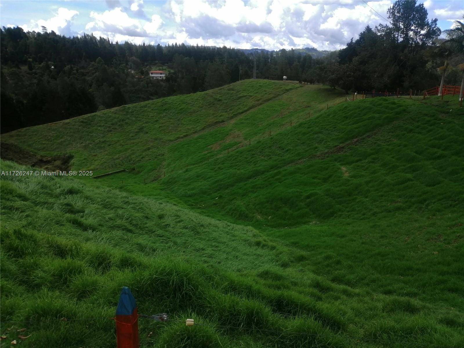 Medellin, FL 2563,MUNICIPIO DE GUARNE