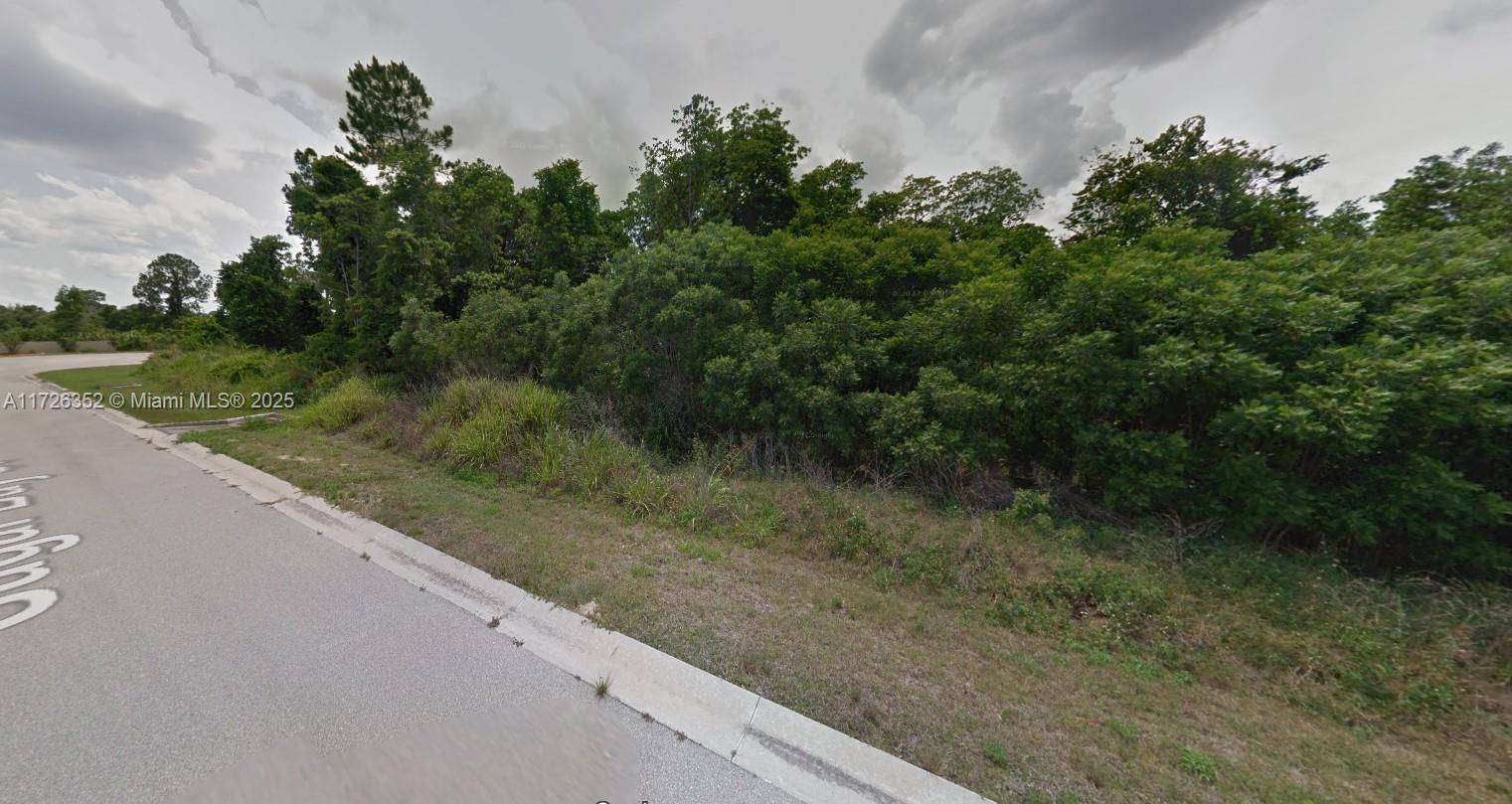 Sebring, FL 33872,4917 Sugar Bay Street