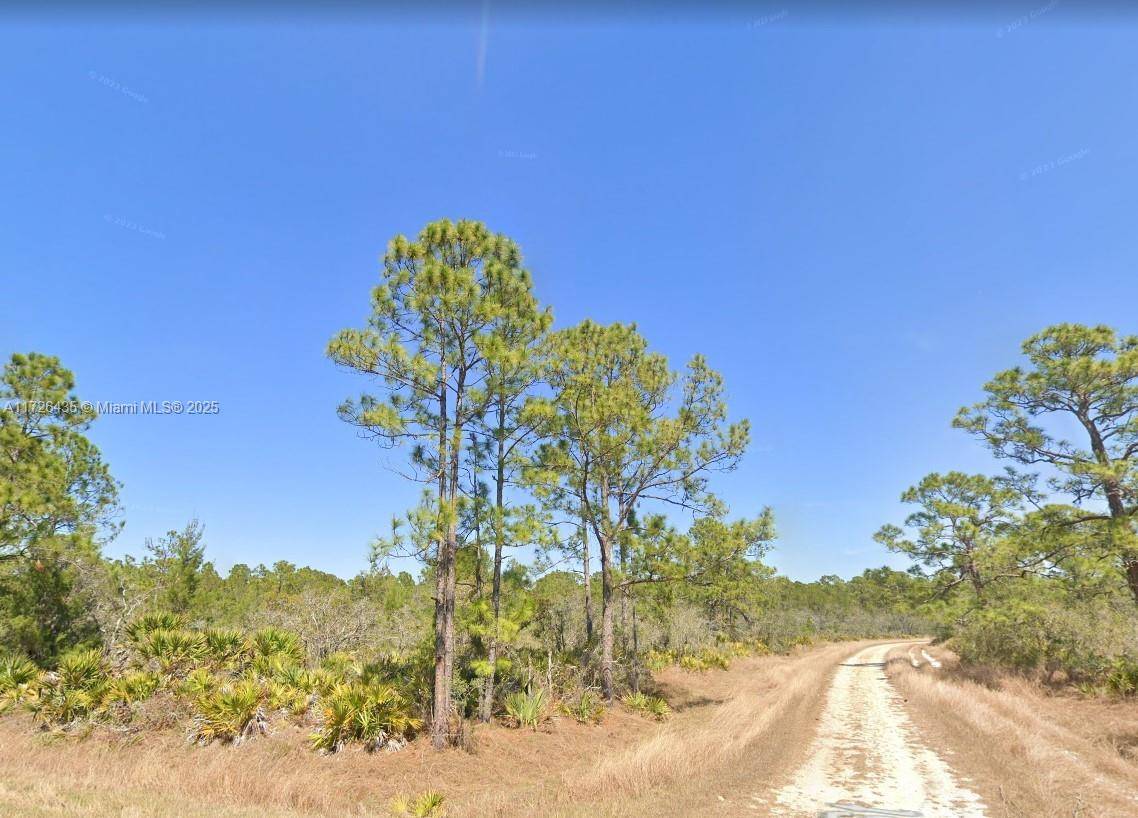 Lake Placid, FL 33852,816 Neale Street