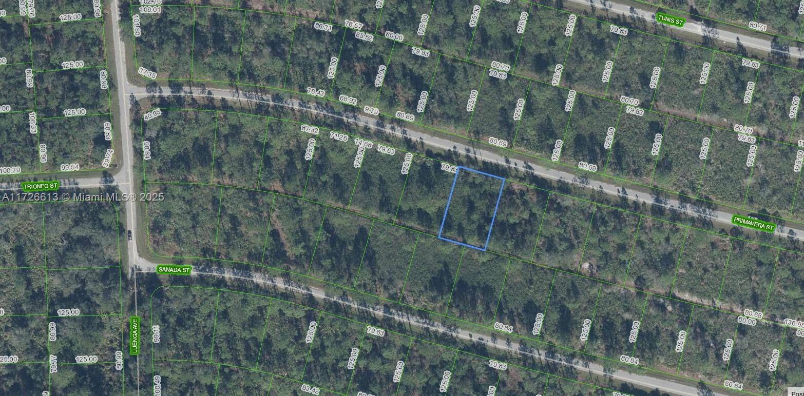 Sebring, FL 33872,8637 Primavera Street