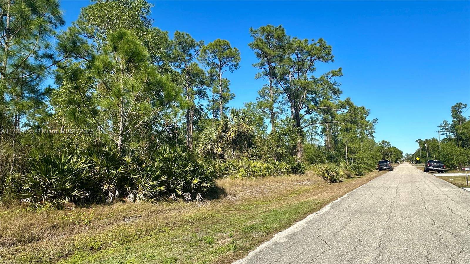 Lehigh Acres, FL 33936,219 Monroe Avenue