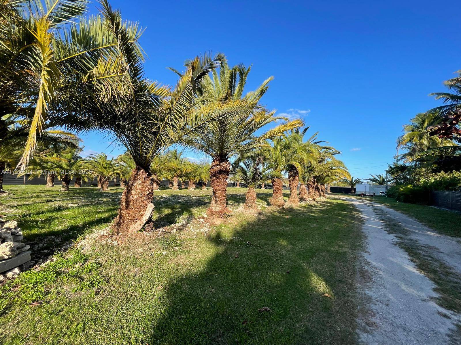 Homestead, FL 33030,31750 SW 207 AVE