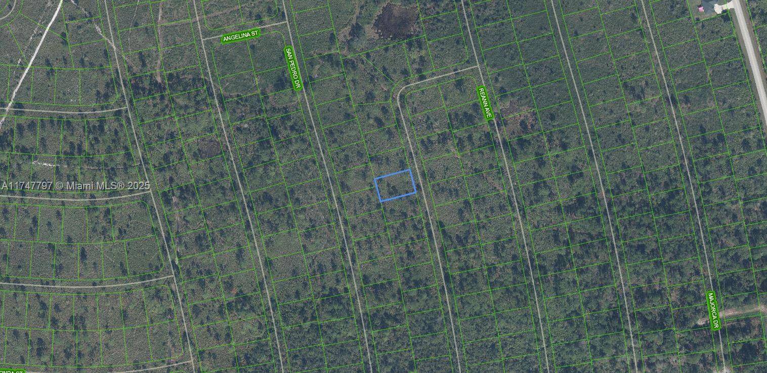 Sebring, FL 33872,4509 Rosaro Ave