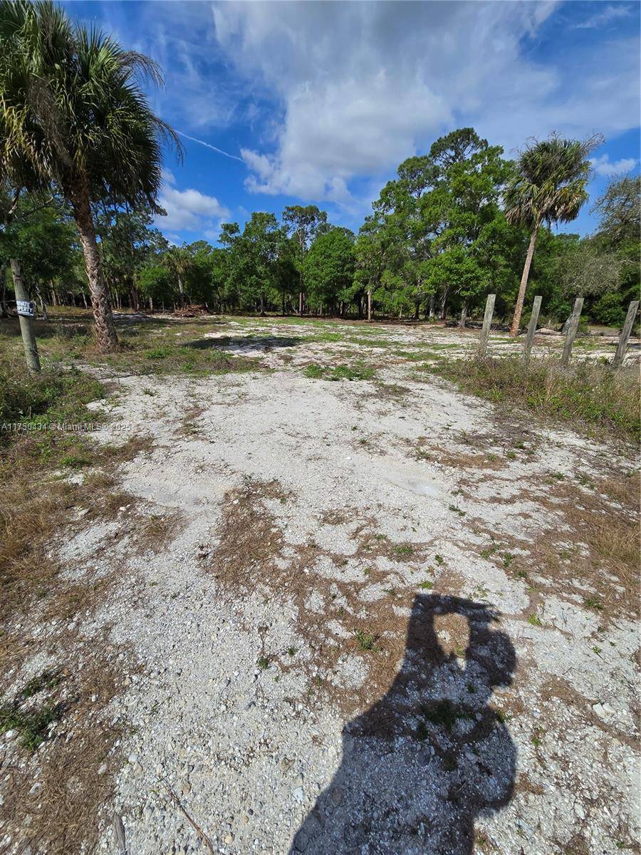 Clewiston, FL 33440,810 S Shetland