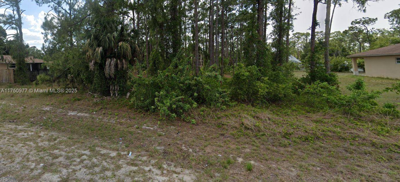 Lehigh Acres, FL 33936,303 McArthur Ave