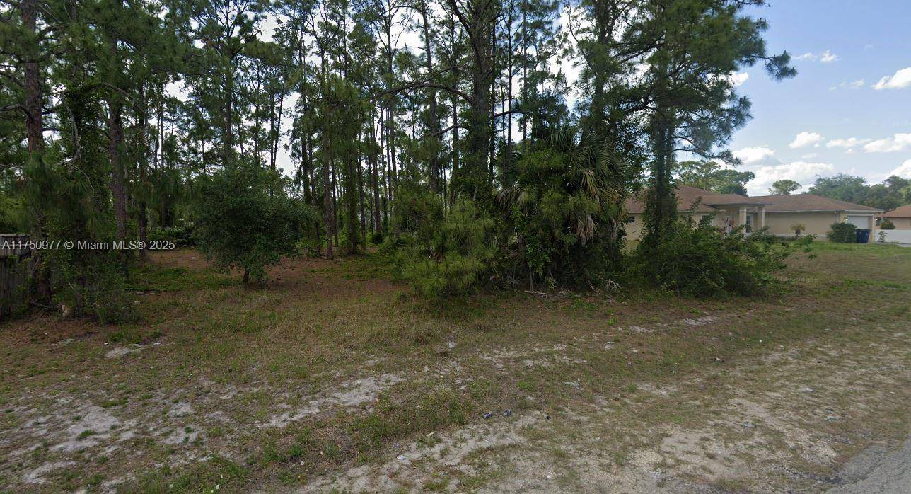 Lehigh Acres, FL 33936,303 McArthur Ave