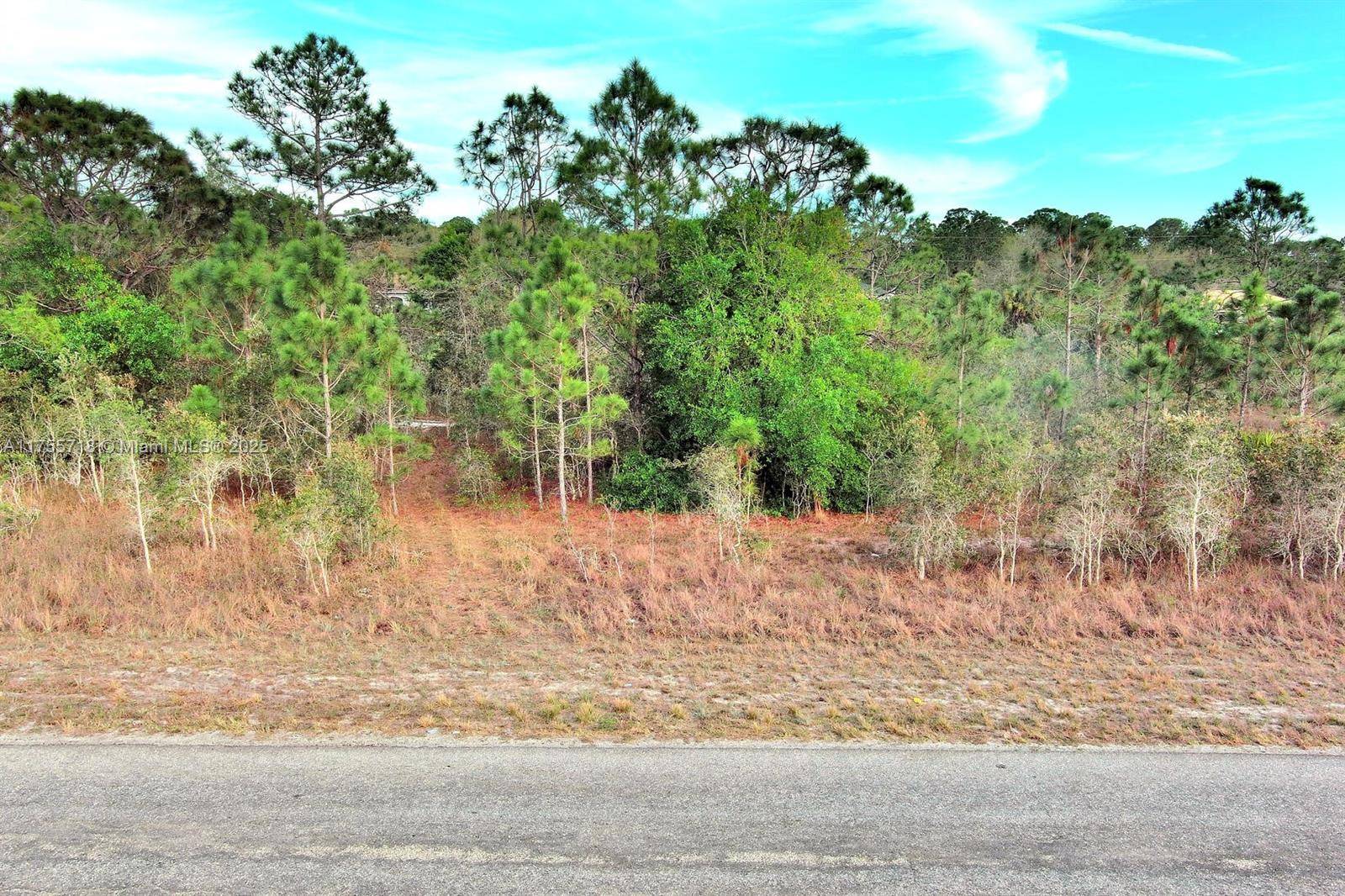 Lehigh Acres, FL 33974,565 Summit Ave S