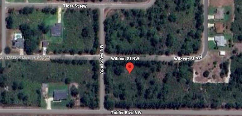 Lake Placid, FL 33852,354 Wildcat St