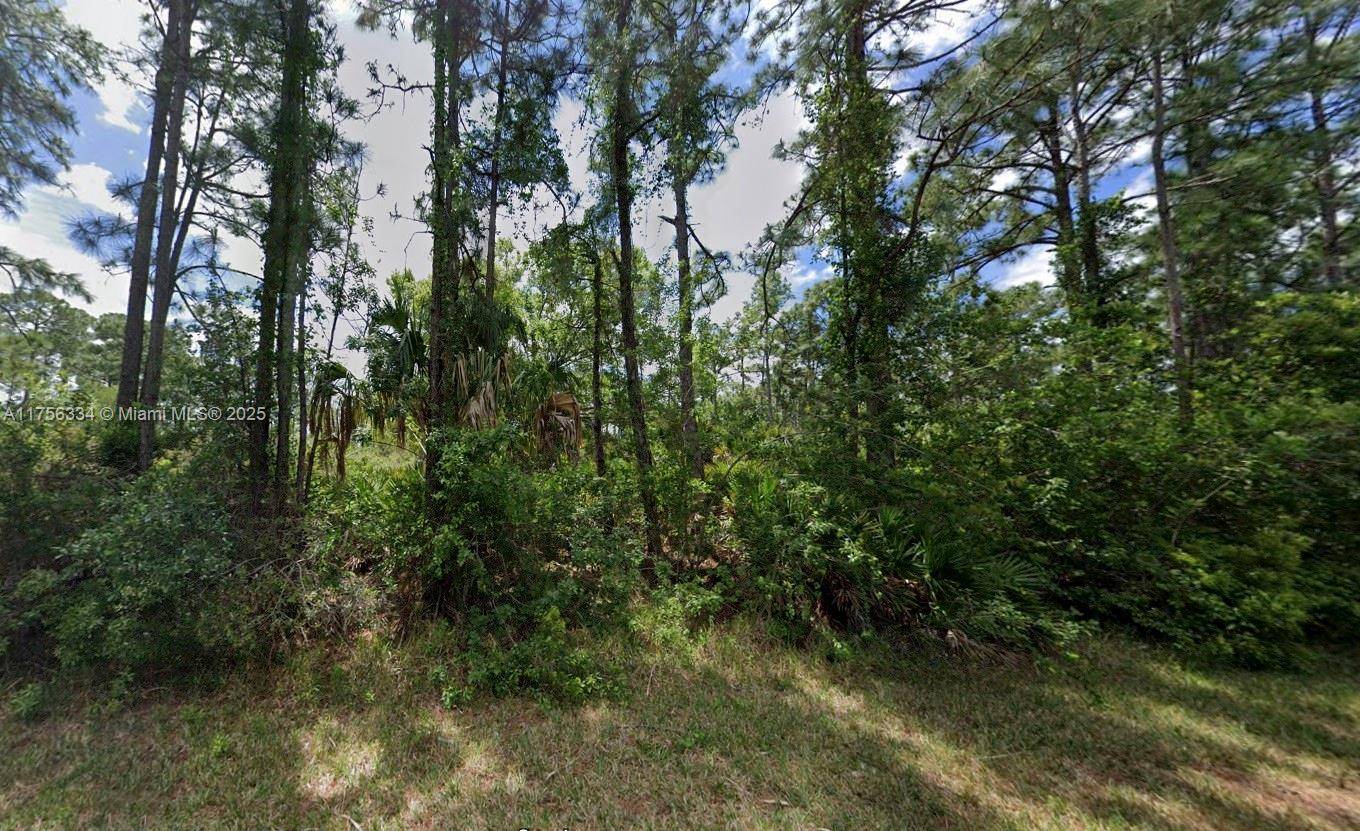 Lake Placid, FL 33852,354 Wildcat St