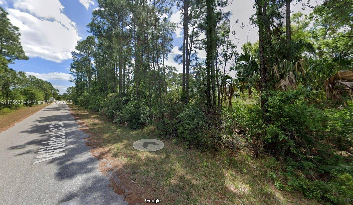 Lake Placid, FL 33852,354 Wildcat St